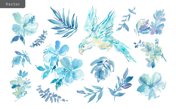 Vector clipart set of abstract blue hibiscus flowers, monstera, tropical plants, and a parrot painted in watercolor. Hand-drawn summer illustration collection of botanical elements and birds.