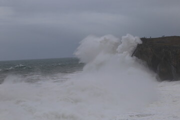 Bufones De Pr&iacute;a