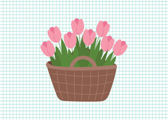 Spring and gardening concept clipart. Basket with pink tulips on a checkered background. Vector hand drawn illustration.