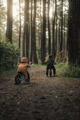 Fototapeta premium Traveling to forest, forest with fresh air, The children’s faces light up with joy, making unforgettable memories in the heart of the wilderness.