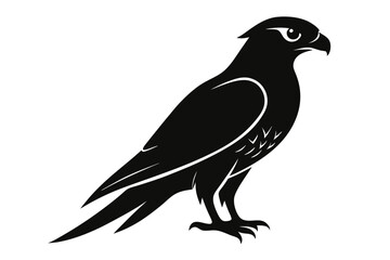 falcon line art silhouette vector illustration