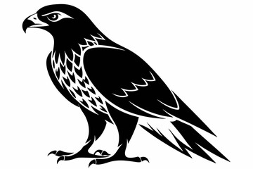 hawk line art silhouette vector illustration