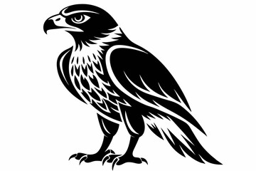 hawk line art silhouette vector illustration