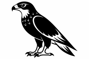 hawk line art silhouette vector illustration