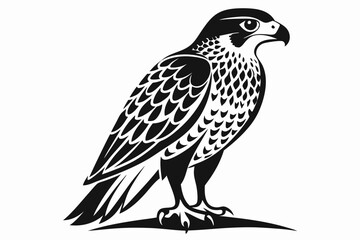 hawk line art silhouette vector illustration