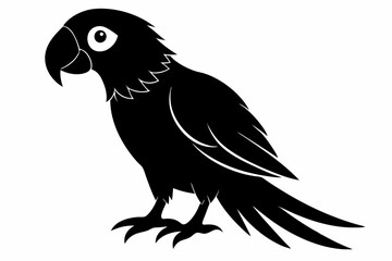 parrot line art silhouette vector illustration