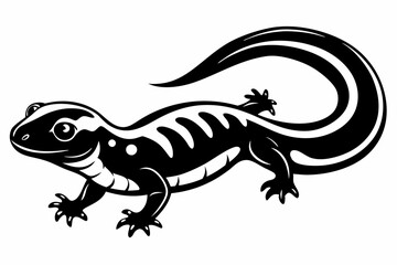 salamander line art silhouette vector illustration