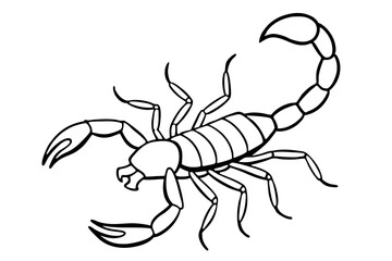 scorpion line art silhouette vector illustration