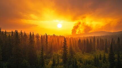 A vibrant forest under a golden sunset, with smoke plumes rising ominously in the background. picture