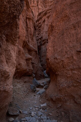 Hiking trail at the bottom of the canyon, surrounded by red sandstone rocks.