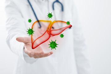 Doctor holding illustration of unhealthy liver on white background, closeup