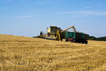 Obraz premium Wheat harvesting - grain being poured from combine harvester into trailer waiting on field