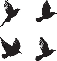  This artwork is digitally enhanced using AI and manually edited for quality. Flying Bird Silhouettes - Elegant Black and White Illustration.