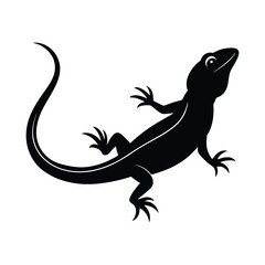 Lizard Vector silhouette isolated on white background