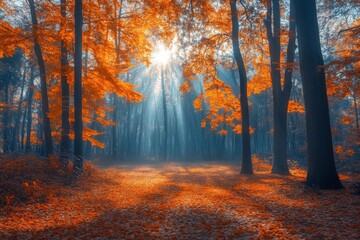 Fototapeta premium Autumn sunlight filters through vibrant orange trees in a serene forest setting during early morning hours