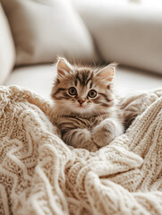 Playful kitten snuggled in cozy blanket indoor setting feline photography soft lighting cute concept