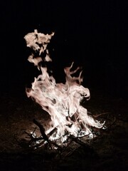 fire in the fireplace