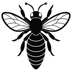 Bee Vector silhouette isolated on white background