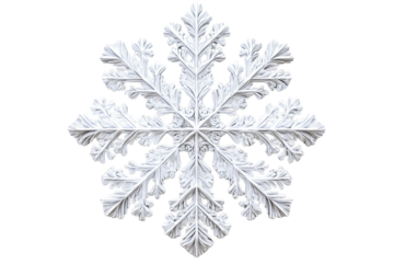 Detailed snowflake design with delicate patterns