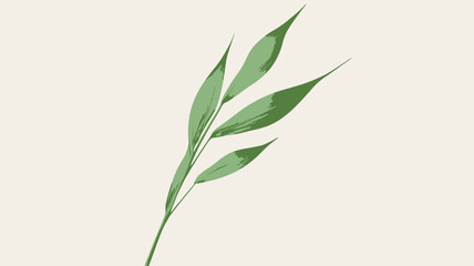 Obraz premium Close-up image of a single green leaf sprig against a light gray background. The sprig features several elongated, lanceolate leaves branching from a central stem. The leaves exhibit subtle