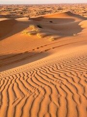 sand dunes in the Dubai