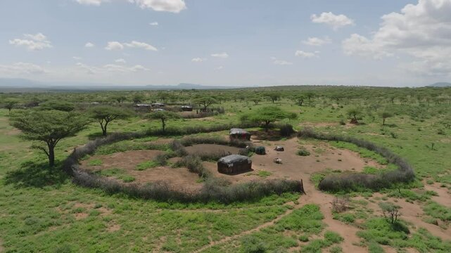 Aerial view of traditional samburu manyatta village surrounded by savannah and trees, Wamba, Samburu, Kenya.