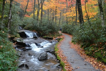 Scenic autumn trail with vibrant fall foliage and a gentle stream in a tranquil wooded area