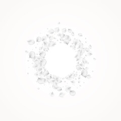 Obraz premium Pastel Lotus Vector Light Background. Delicate