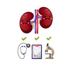Illustration of preventive examination of kidneys