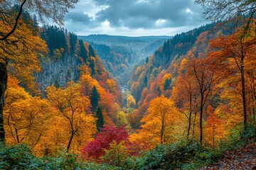 Fototapeta premium Autumn colors blanket the valleys of a forested region under a moody sky in late afternoon light