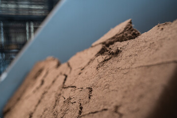 flower soil - peat 
