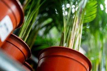 plastic pots - ecology - pot recycling