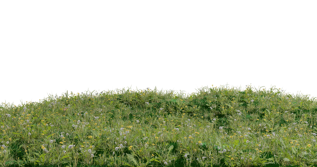 3d rendered mountain meadow hills isolated on black background. Patch of green grass lands with daisy flowers. 3d grassland scene.