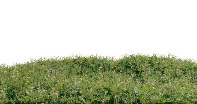3d rendered mountain meadow hills isolated on black background. Patch of green grass lands with daisy flowers. 3d grassland scene.