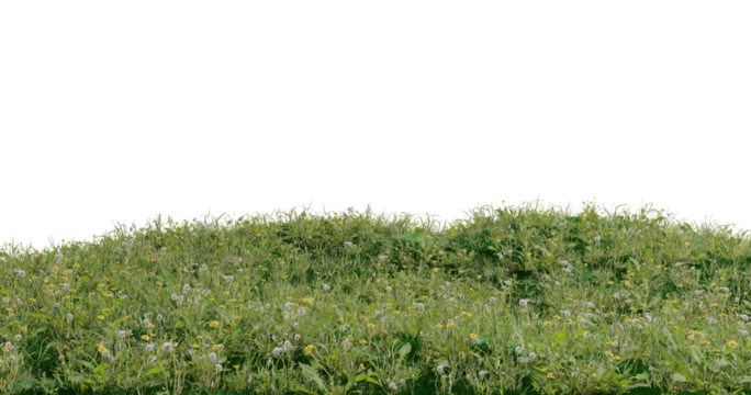 3d rendered mountain meadow hills isolated on black background. Patch of green grass lands with daisy flowers. 3d grassland scene.