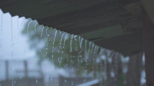 The video captures the serene and soothing sound of rain