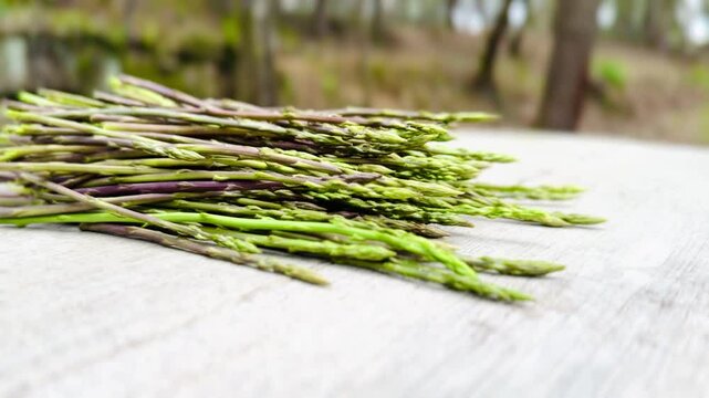 Fresh Wild Asparagus Harvested from the Green Forest on the Table.