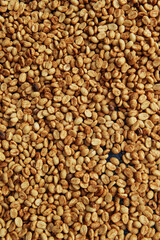 Close up of coffee beans drying in the sun          