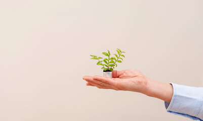 Hand holding lightbulb planter symbolizing green energy and sustainability on neutral background with copy space