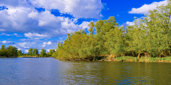 Biesbosch National Park, Noord-Brabant Province, Holland, Netherlands, Europe