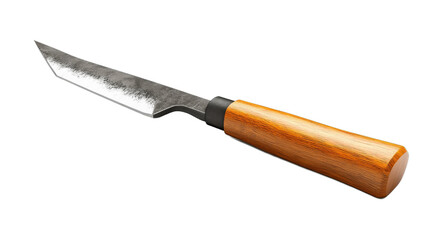 Sharp knife with wooden handle for kitchen use