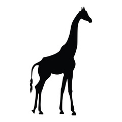 giraffe silhouette icon transparent background