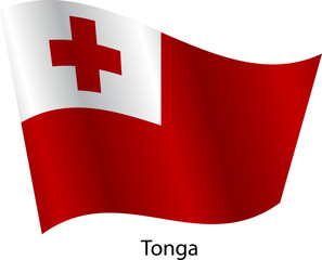 Flag of the country Tonga on a white background