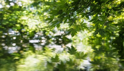 Blurry reflections of tree leaves on water, with light dancing on soft ripples, creating a dreamy and tranquil atmosphere