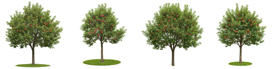 Fototapeta premium Apple Tree on White Background, Cut Out Set