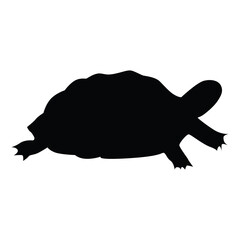 turtle silhouette icon transparent background