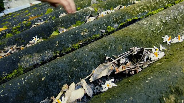 Cleaning house roof from leaves and moss