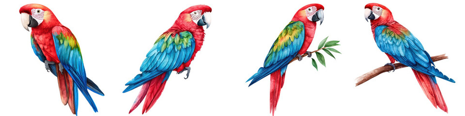 Fototapeta premium Colorful and captivating tropical parrots including on lush green branches showcasing their vibrant plumage and natural beauty
