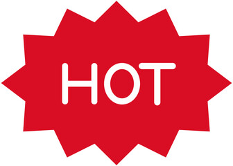 Hot Sale Icon 