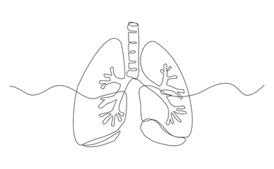 Continuous single line of human lungs organ anatomy cardiology medical concept. Sketch drawing vector illustration editable stroke
